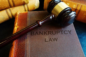 Chapter 7 Bankruptcy—The Basics